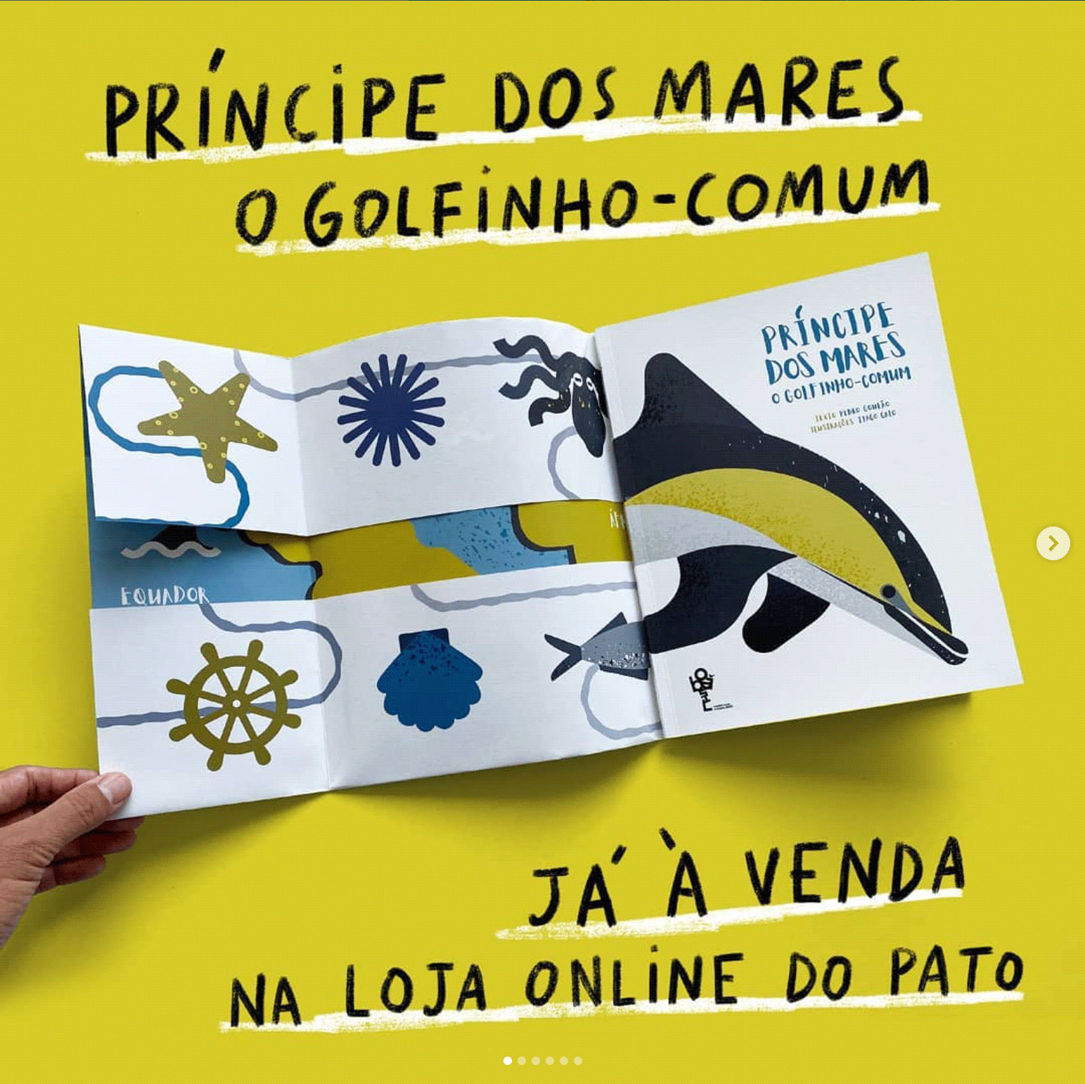 ELISABETE GOMES